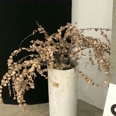 Furry插画笔刷运用兽圈群